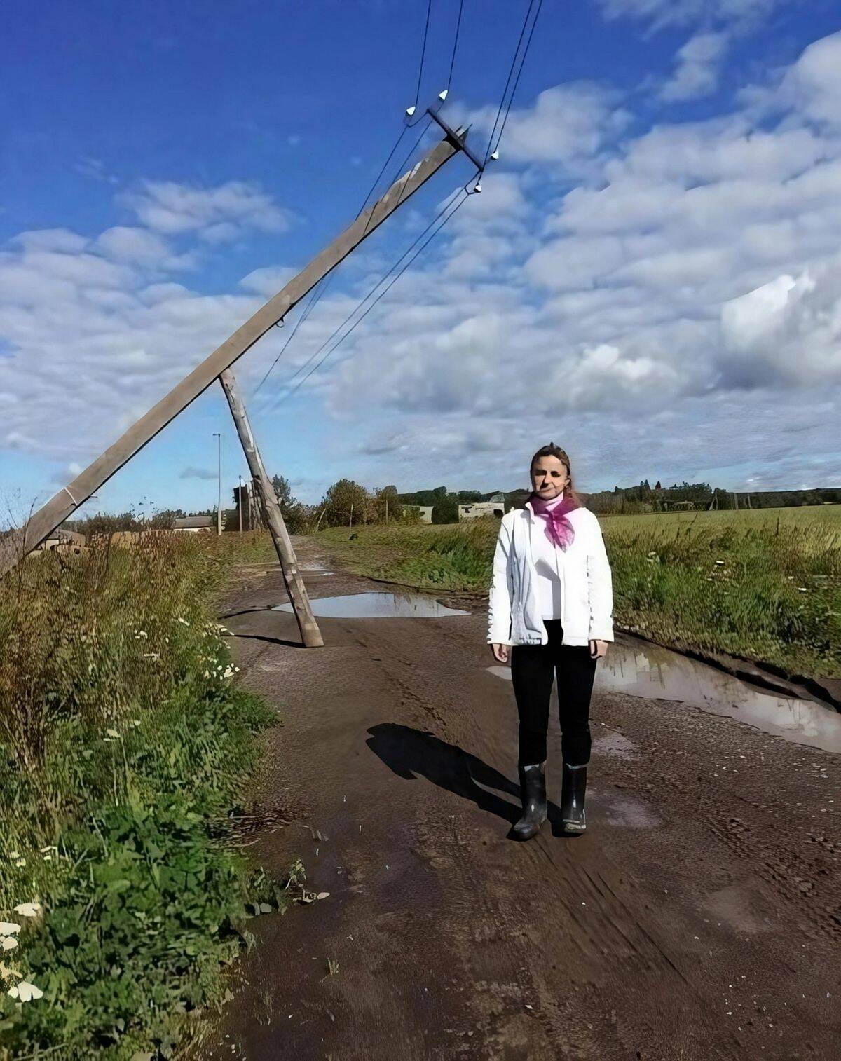 Подборка прикольных картинок