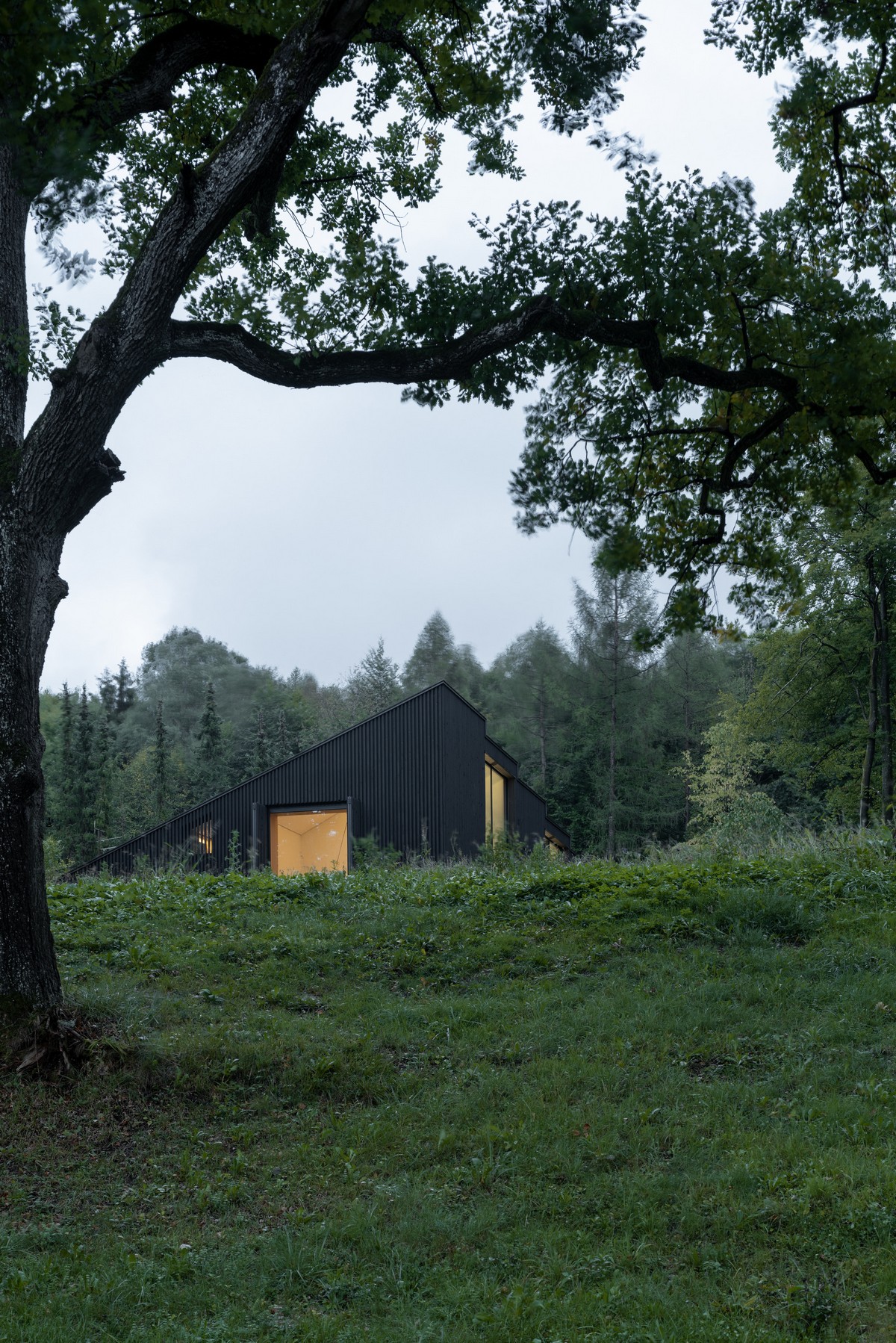 Чёрный деревянный дом у озера в Германии