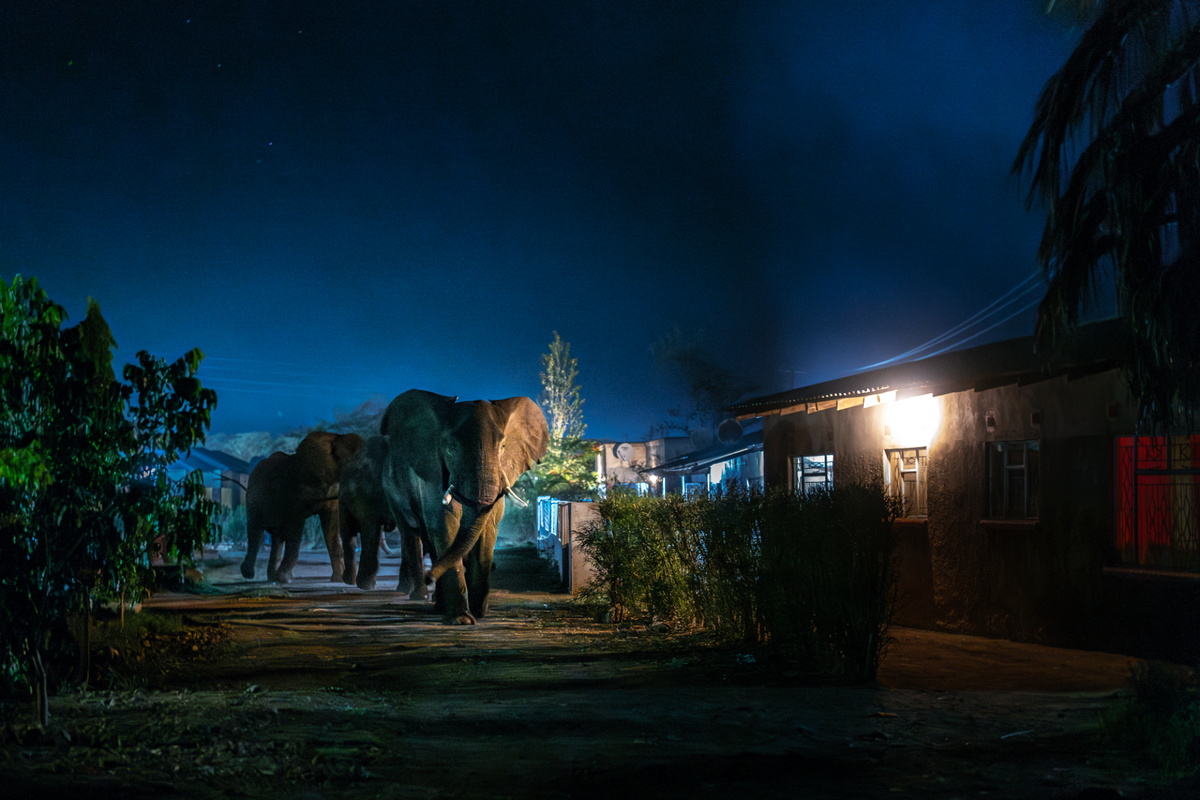 Представлены лучшие снимки премии Sony World Photography Awards 2024