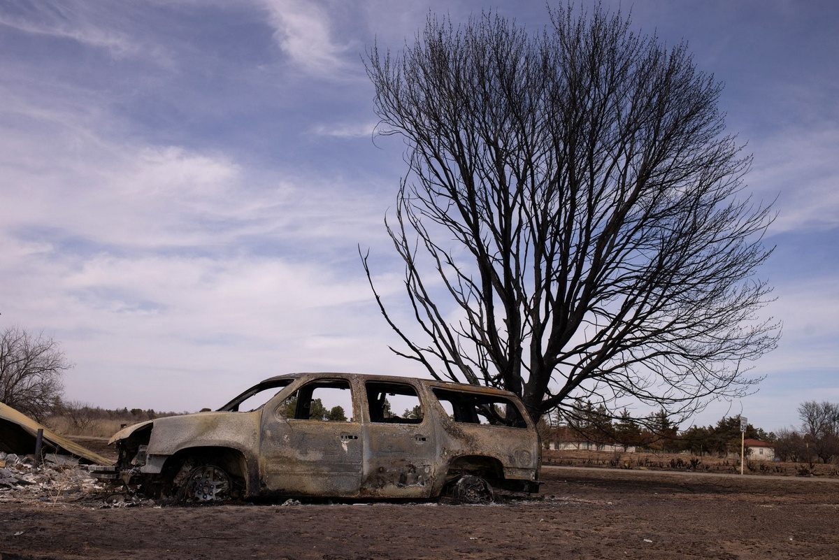 Лесные пожары в Техасе оставляют за собой выжженный след