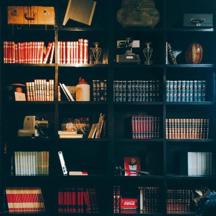 Примеры великолепных домашних библиотек, вдохновляющих на чтение