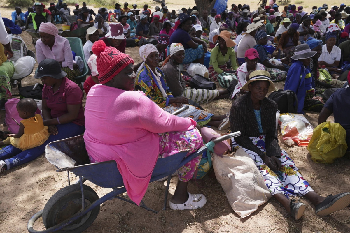 Из-за засухи на юге Африки около 20 миллионов человек оказались на грани голода