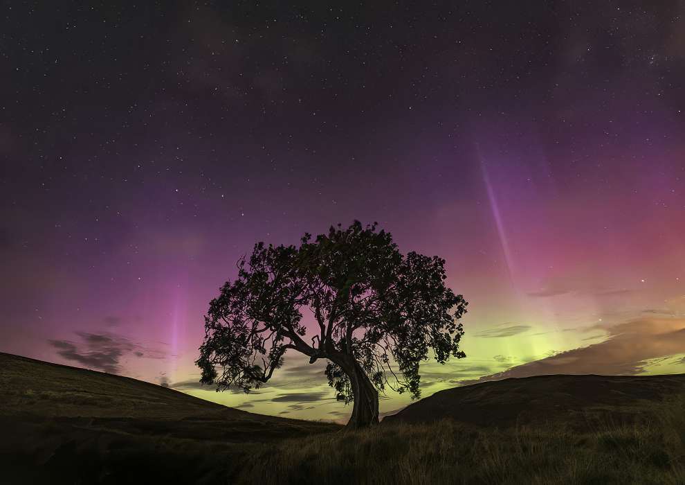 Снимки-победители премии Scottish Nature Photography Awards 2023