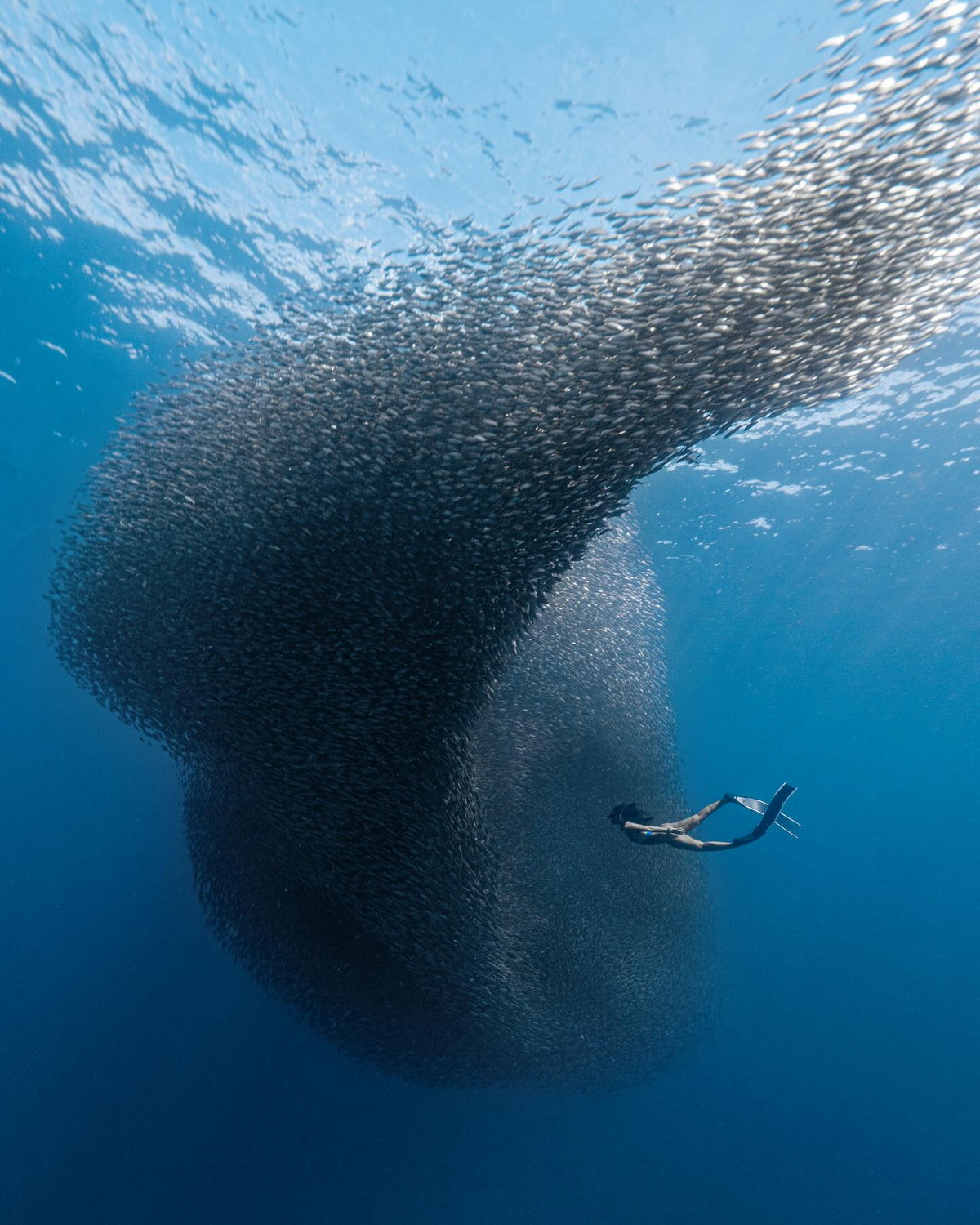 Впечатляющие подводные снимки от Бена Явара