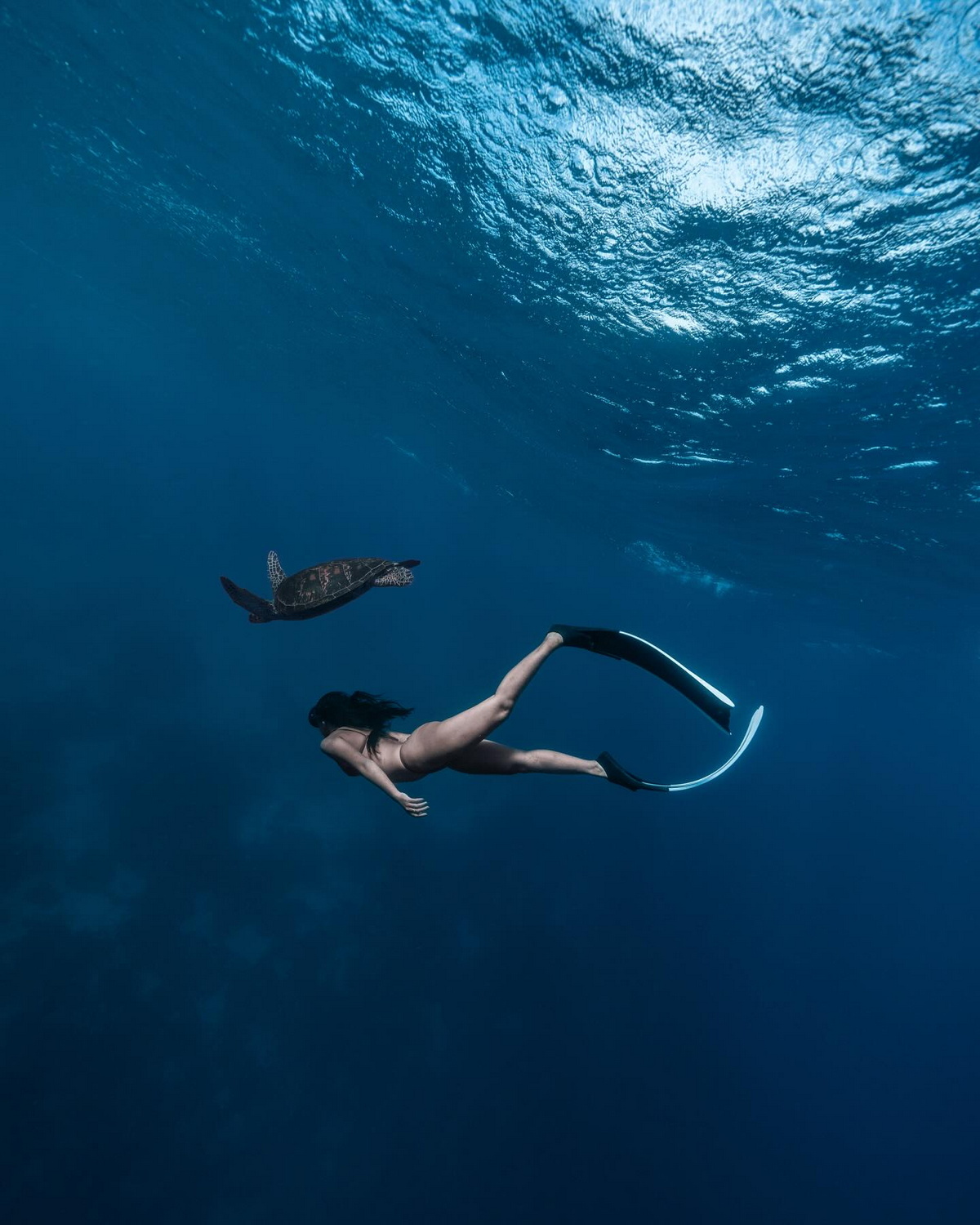 Впечатляющие подводные снимки от Бена Явара
