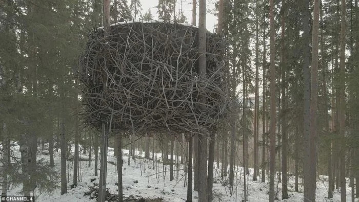 Секретные отели: бункеры, дирижабли и берлоги со всего мира