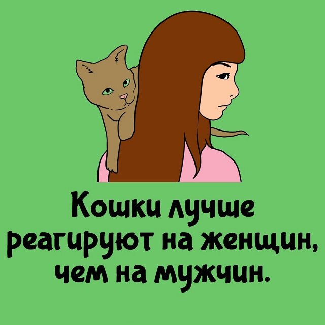 Короткие интересные факты на все случаи жизни