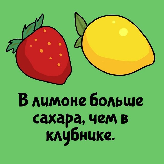 Короткие интересные факты на все случаи жизни