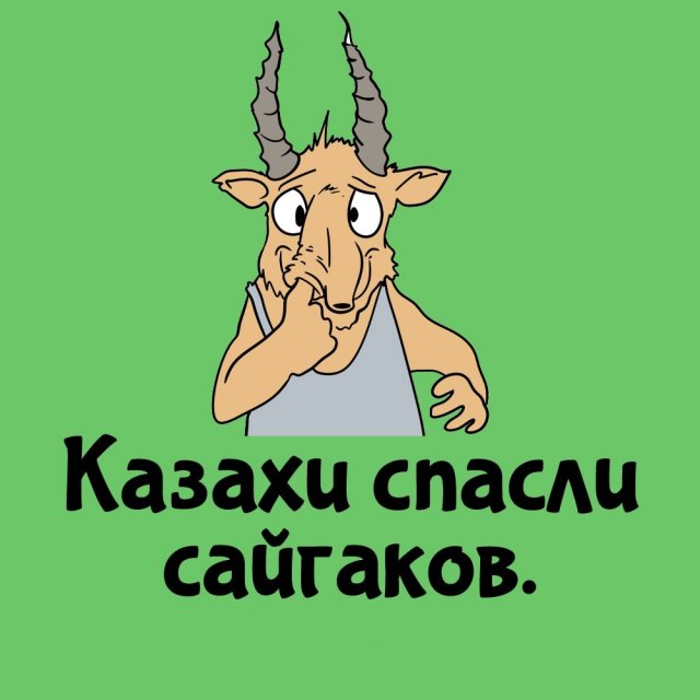 Короткие интересные факты на все случаи жизни
