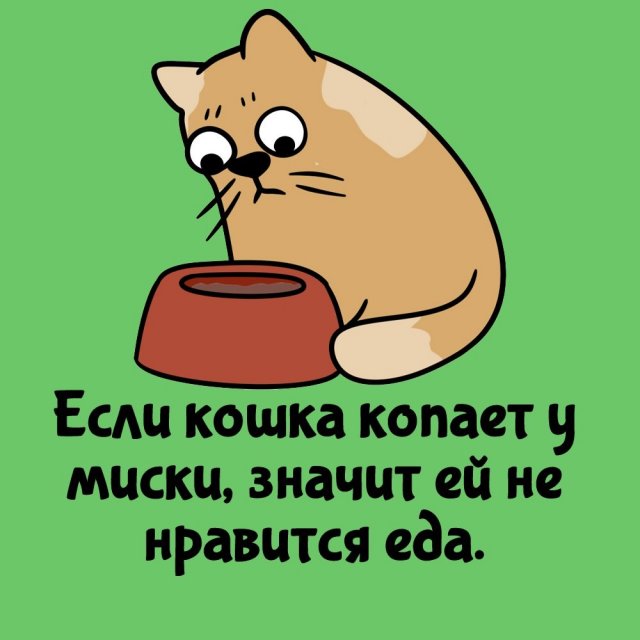 Короткие интересные факты на все случаи жизни