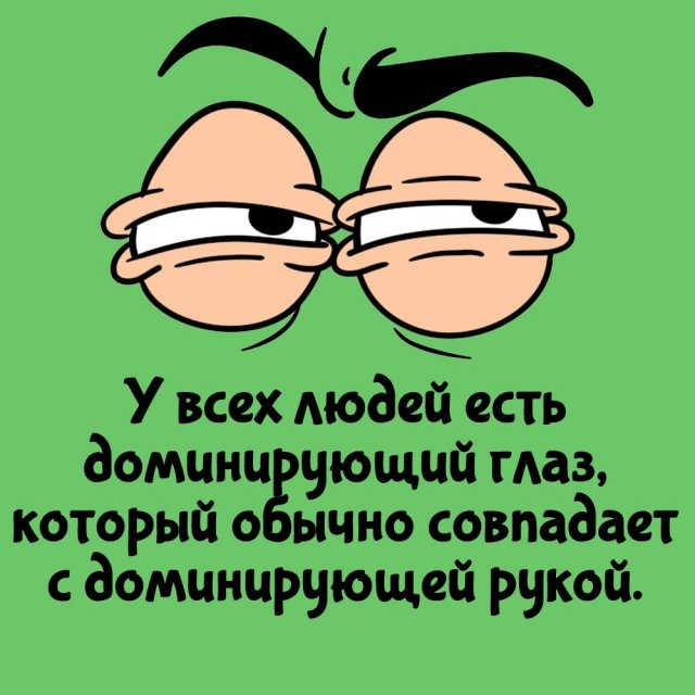 Короткие интересные факты на все случаи жизни