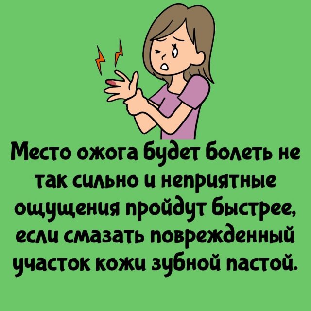 Короткие интересные факты на все случаи жизни