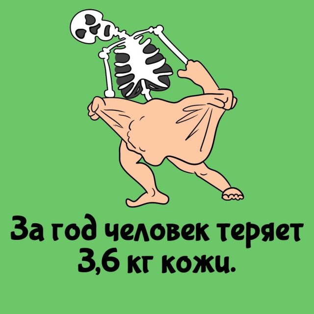 Короткие интересные факты на все случаи жизни