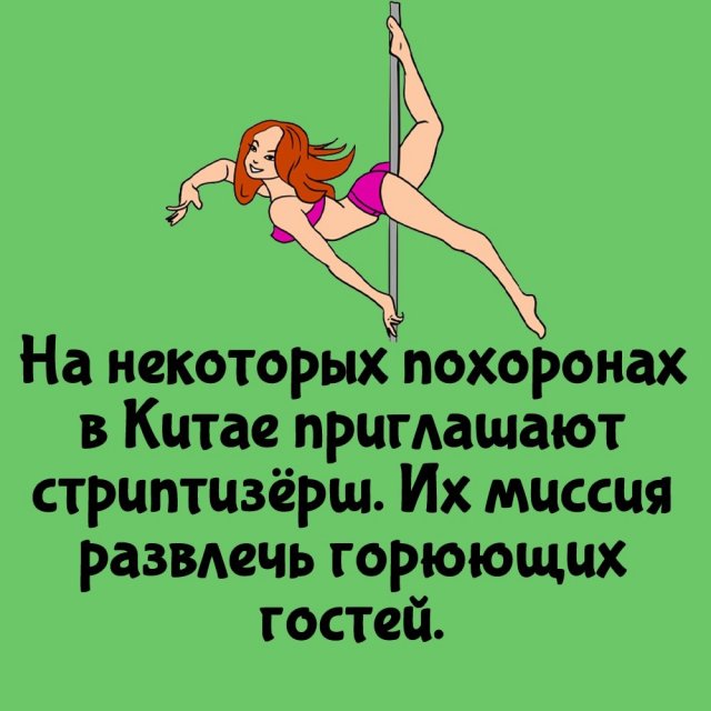 Короткие интересные факты на все случаи жизни