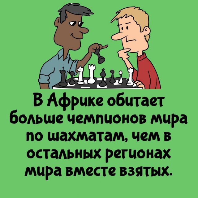 Короткие интересные факты на все случаи жизни