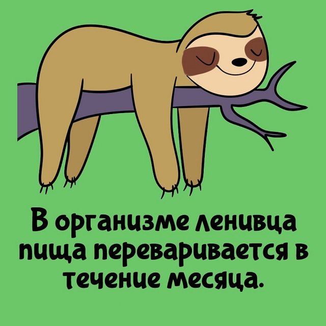 Короткие интересные факты на все случаи жизни