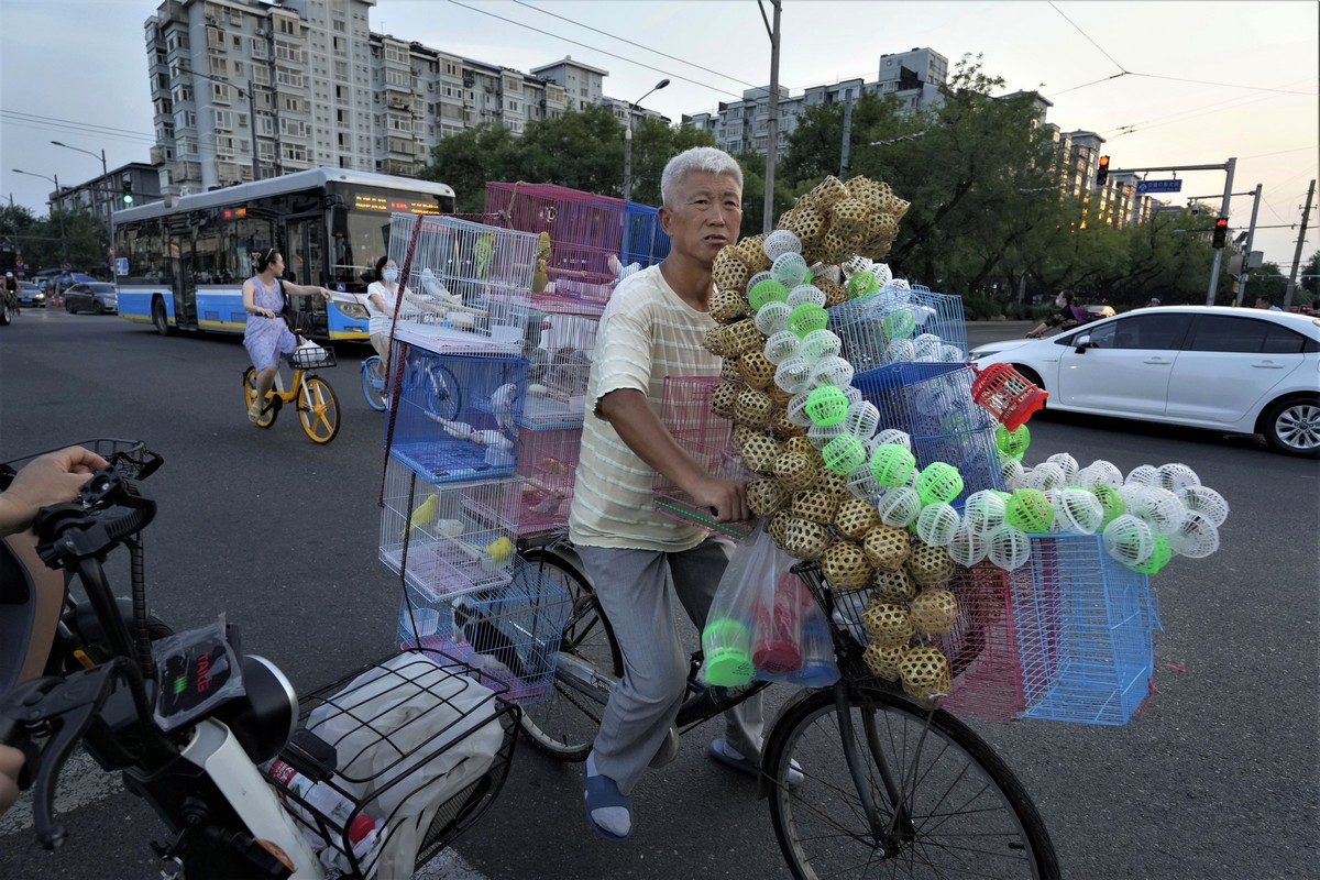 Повседневная жизнь в Китае