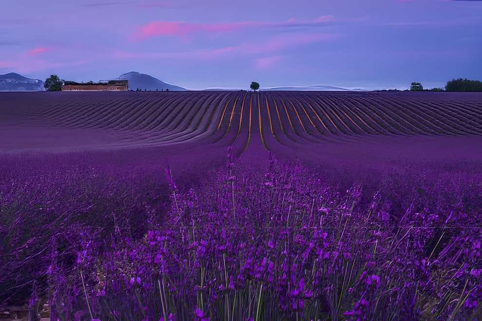 Выдающиеся пейзажные снимки, удостоенные премии ReFocus Color Photography Awards 2024