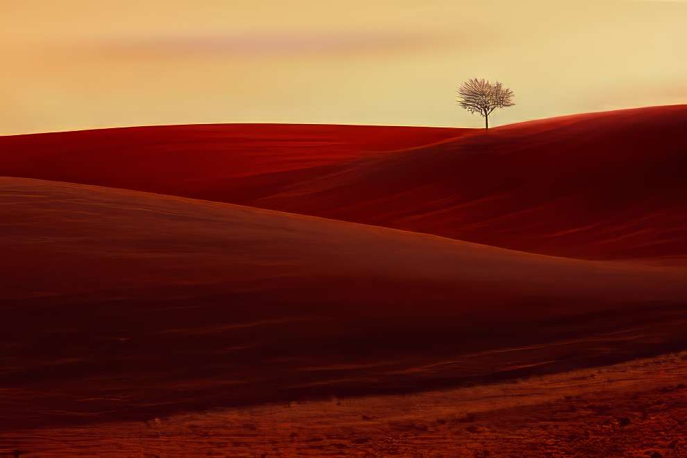 Выдающиеся пейзажные снимки, удостоенные премии ReFocus Color Photography Awards 2024