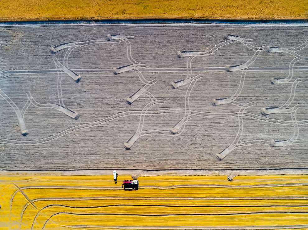 Абстрактные снимки с дронов победители премии Drone Photo Awards