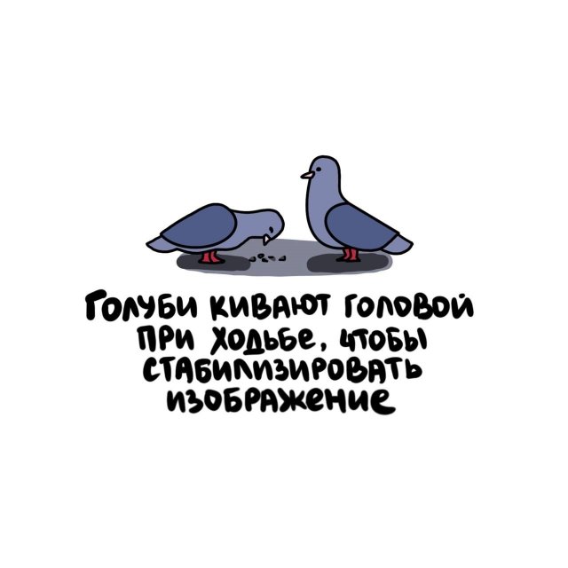 Интересные короткие факты на все случаи жизни