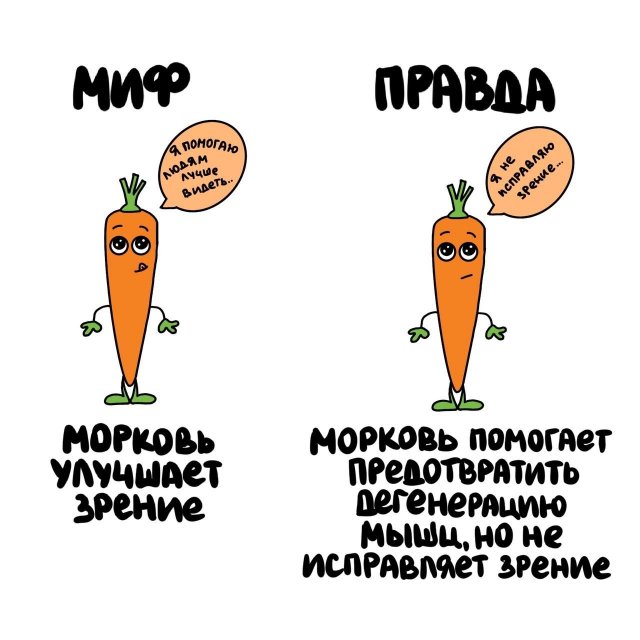 Интересные короткие факты на все случаи жизни