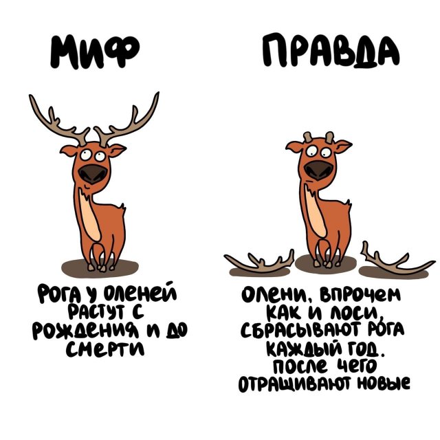 Интересные короткие факты на все случаи жизни