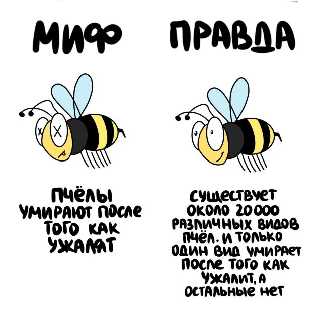 Интересные короткие факты на все случаи жизни