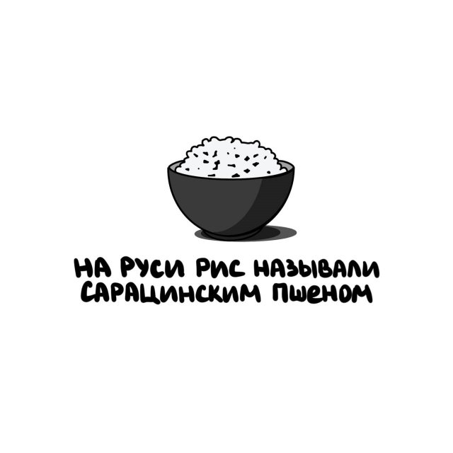 Интересные короткие факты на все случаи жизни