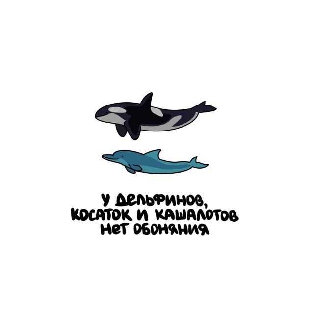 Интересные короткие факты на все случаи жизни