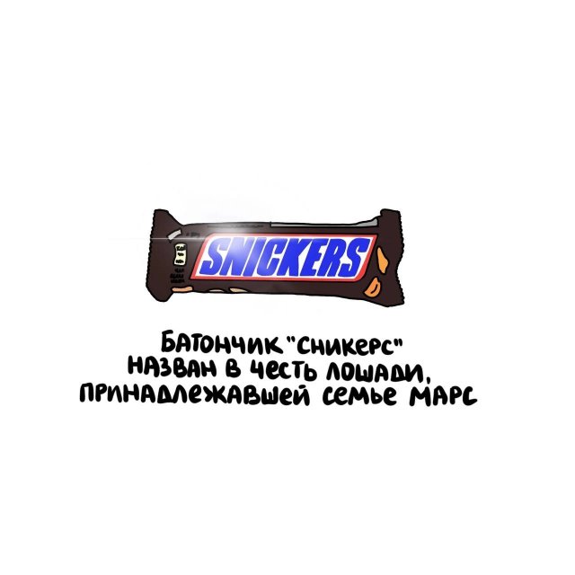 Интересные короткие факты на все случаи жизни