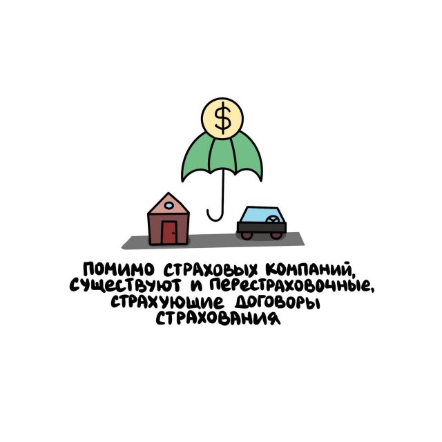 Интересные короткие факты на все случаи жизни