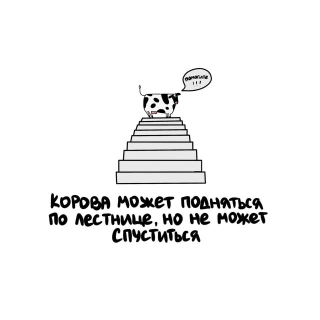 Интересные короткие факты на все случаи жизни