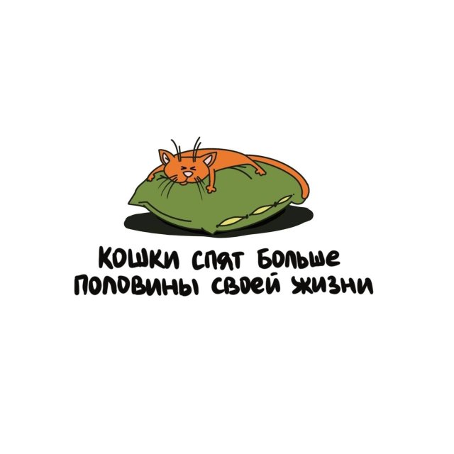 Интересные короткие факты на все случаи жизни