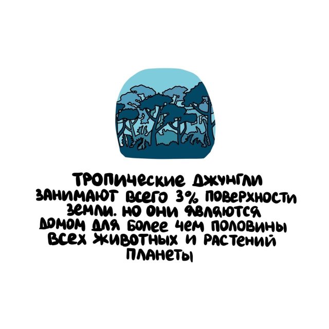 Интересные короткие факты на все случаи жизни