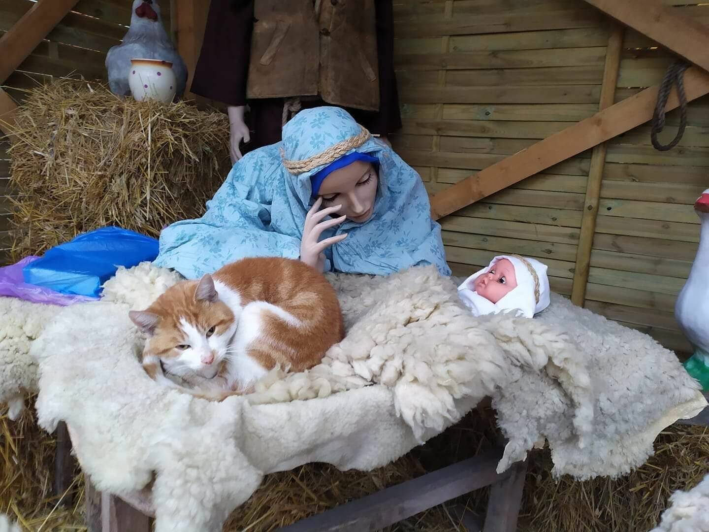 Подборка прикольных картинок