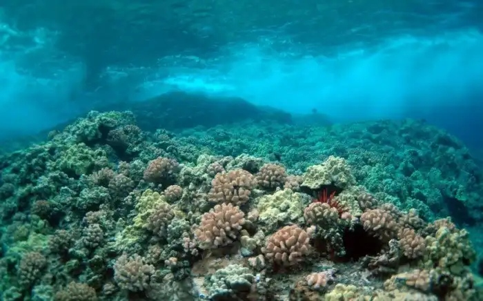 Красота мест с самой чистой водой на планете