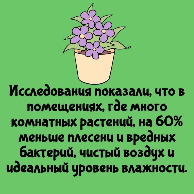 Короткие интересные факты на все случаи жизни