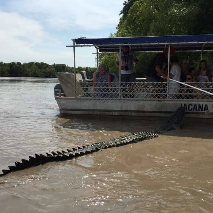 Подборка прикольных картинок