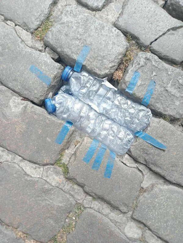 Подборка прикольных картинок