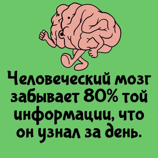 Короткие интересные факты на все случаи жизни