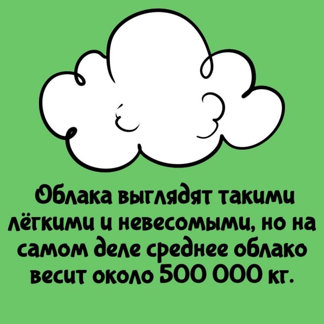 Короткие интересные факты на все случаи жизни