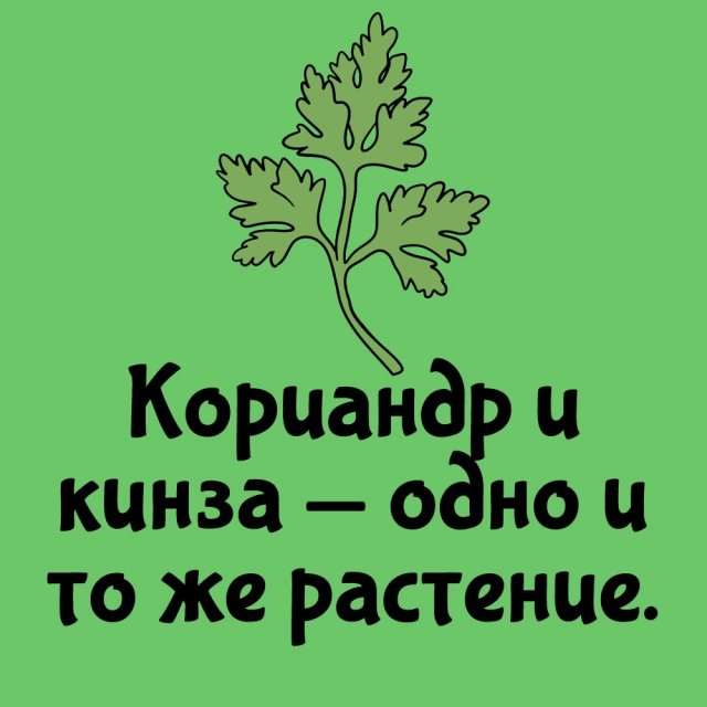 Короткие интересные факты на все случаи жизни