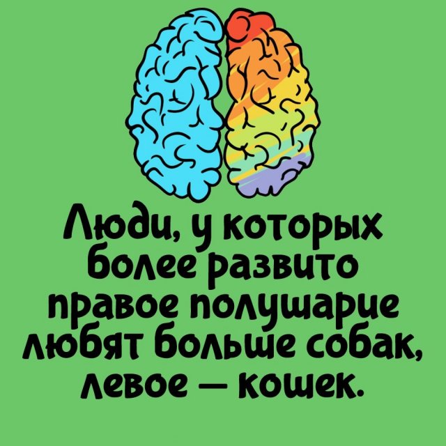 Короткие интересные факты на все случаи жизни