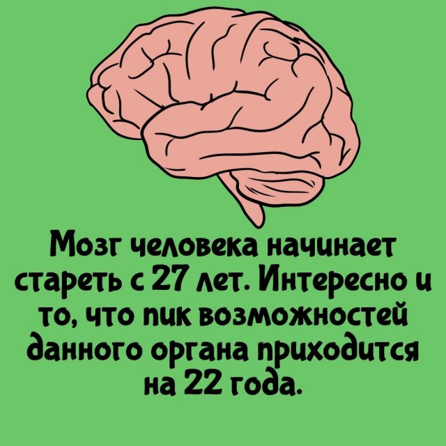 Короткие интересные факты на все случаи жизни