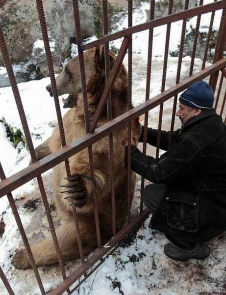 Подборка прикольных картинок