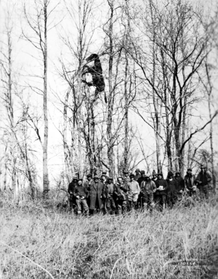 Удивительные исторические фотографии со всего мира