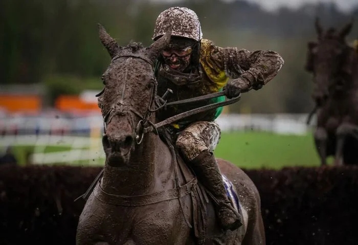Подборка потрясающих снимков от победителей World Sports Photography