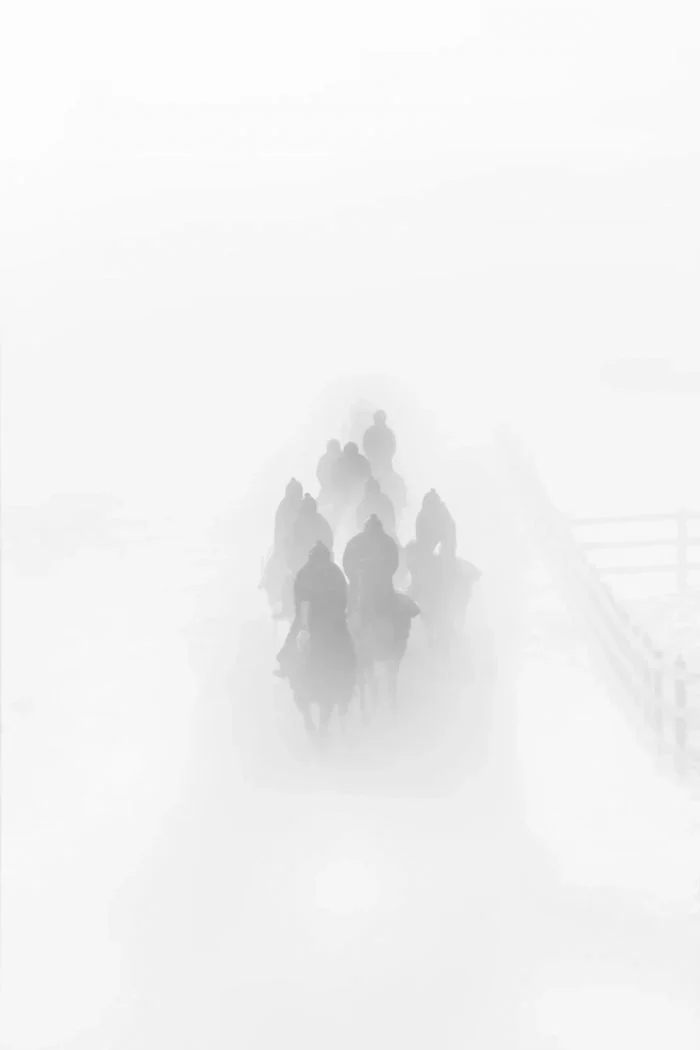 Подборка потрясающих снимков от победителей World Sports Photography