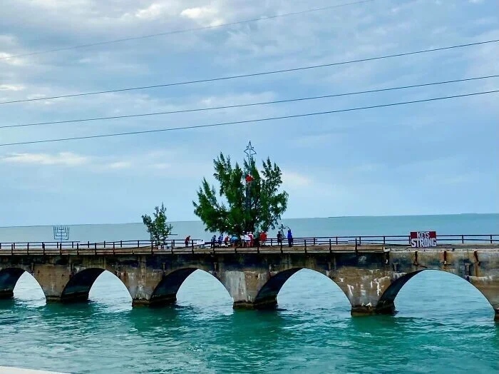 სხვადასხვა წარმოუდგენელი ფაქტების შერჩევა ცხოვრებიდან